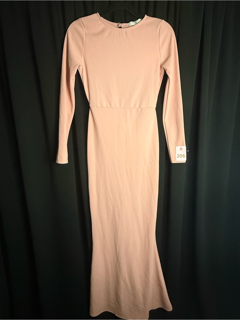 Long Sleeve Blush Maxi Gown